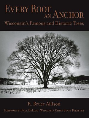 cover image of Every Root an Anchor